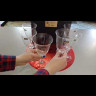 Бокалы для красного вина 360 мл 6 шт  Crystalite Bohemia "Клеопатра /Без декора" / 005743