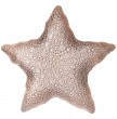 Блюдо 28 см Звезда  Bronco &quot;Starfish sand&quot; / 289175